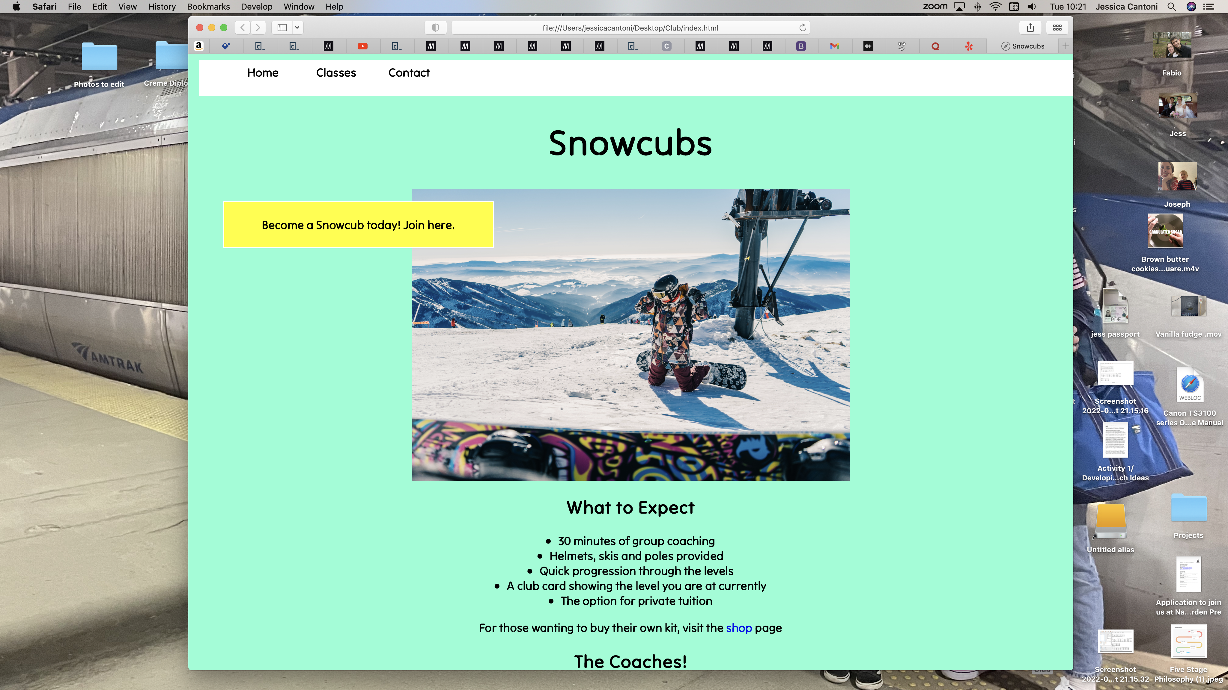 screenshot of snow cubs website